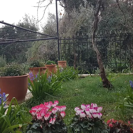Honeyhouse דירה Kadi