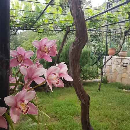 Honeyhouse Apartamento